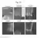 Fig. 85 - Spectrometric analysis