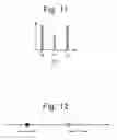 Fig. 09 - Imaging guided ambient ionisation mass spectrometry
