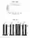 Fig. 09 - PLASMA PROCESSING DEVICE AND PLASMA PROCESSING METHOD USING SAME