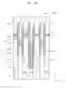 Fig. 03 - Memory device having vertical structure