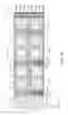 Fig. 30 - Semiconductor memory device