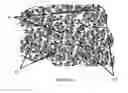 Fig. 04 - Alkaline battery cathode structures incorporating multiple carbon materials and orientations