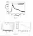 Fig. 09 - Solvated graphene frameworks as high-performance anodes for lithium-ion batteries