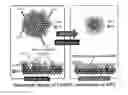 Fig. 01 - Method for manufacturing platinum catalyst, and fuel cell including the same
