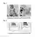 Fig. 03 - Method for manufacturing platinum catalyst, and fuel cell including the same
