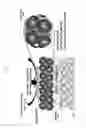 Fig. 02 - Method for supplying molten carbonate fuel cell with electrolyte and molten carbonate fuel cell using the same