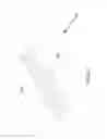 Fig. 04 - APPARATUS FOR MANAGING ELECTRICAL WIRES