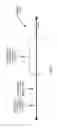 Fig. 04 - Wireless media usage, channel aggregation, and full-duplex communications