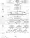Fig. 02 - Network management layer—configuration management