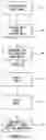 Fig. 04 - Scripting support for data identifiers, voice recognition and speech in a telnet session