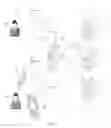 Fig. 02 - Interactive tracking virtual world system