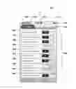 Fig. 01 - Dynamic voicemail receptionist system