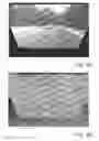 Fig. 10 - Road vertical contour detection