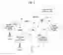 Fig. 02 - Method for processing data when loss of access occurs in a wireless communication system, and device therefor