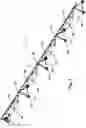 Fig. 02 - Automated adjustable drop hose for mechanized irrigation