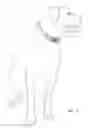Fig. 06 - Pet Identification Collar