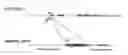 Fig. 01 - DNA knock-in system