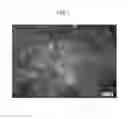 Fig. 02 - Instant processed meat product and method for producing same