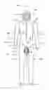 Fig. 01 - Suit for athletic activities