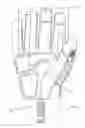 Fig. 07 - Protective glove including impact protection
