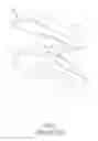Fig. 02 - Antistatic shoe
