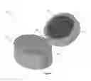 Fig. 07 - Cosmetic stamp and method of using same