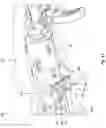 Fig. 13 - Surgical forceps