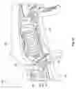 Fig. 14 - Surgical forceps
