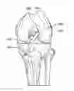 Fig. 01 - Methods of fixating tissue to bone