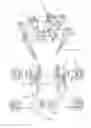 Fig. 06 - Spinal prosthesis with adjustable support element