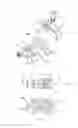 Fig. 09 - Spinal prosthesis with adjustable support element