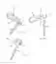 Fig. 12 - Spinal prosthesis with adjustable support element