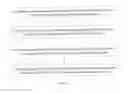 Fig. 02 - Hernia mesh and its preparation method