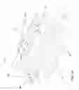 Fig. 05 - Hand manipulated endoscopic medical device