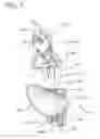 Fig. 04 - Wearable support structure for at least partly relieving a human body during leaning or bending over
