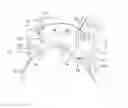 Fig. 01 - Hybrid ophthalmic interface apparatus and method of interfacing a surgical laser with an eye