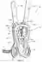 Fig. 07 - Percussion therapy apparatus and methods thereof