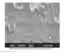Fig. 01 - AN ASCORBIC ACID DISPERSION MATERIAL, AND ITS MANUFACTURING METHOD