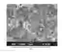 Fig. 04 - AN ASCORBIC ACID DISPERSION MATERIAL, AND ITS MANUFACTURING METHOD
