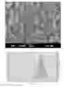 Fig. 05 - AN ASCORBIC ACID DISPERSION MATERIAL, AND ITS MANUFACTURING METHOD
