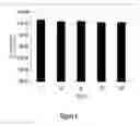 Fig. 05 - ORAL CARE METHODS AND COMPOSITIONS UTILIZING CHITOSAN-DERIVATIVE COMPOUNDS
