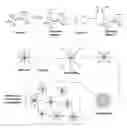 Fig. 01 - Hydrogel microparticle scaffold with gradients of degradability and methods thereof