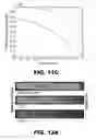 Fig. 24 - Hydrogel microparticle scaffold with gradients of degradability and methods thereof