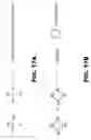 Fig. 31 - Hydrogel microparticle scaffold with gradients of degradability and methods thereof