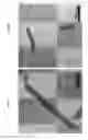 Fig. 02 - Microgel particles containing nanotubes loaded with an active pharmaceutical ingredient