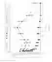Fig. 06 - Depot formulations of a local anesthetic and methods for preparation thereof