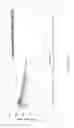 Fig. 13 - Solid Oral Dosage Forms