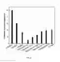 Fig. 12 - Oligonucleotide lipid nanoparticle compositions, methods of making and methods of using the same