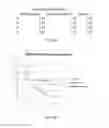 Fig. 30 - Oligonucleotide lipid nanoparticle compositions, methods of making and methods of using the same