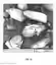 Fig. 17 - HIF-2-ALPHA INHIBITOR POLYMORPHS